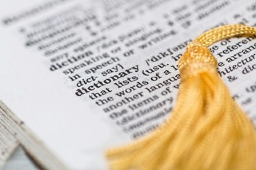 Essential Spanish vocabulary for beginners: Everyday words and phrases